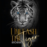 ПЕЧАТЬ НА АВТОМАТИЧЕСКОМ СТАНКЕ PRINTEX HURRICANE SLE 8/10 ПЛАСТИЗОЛЕВЫМИ КРАСКАМИ WILFLEX. 6 ЦВЕТОВ